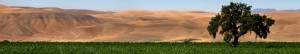 header_pasoRobles